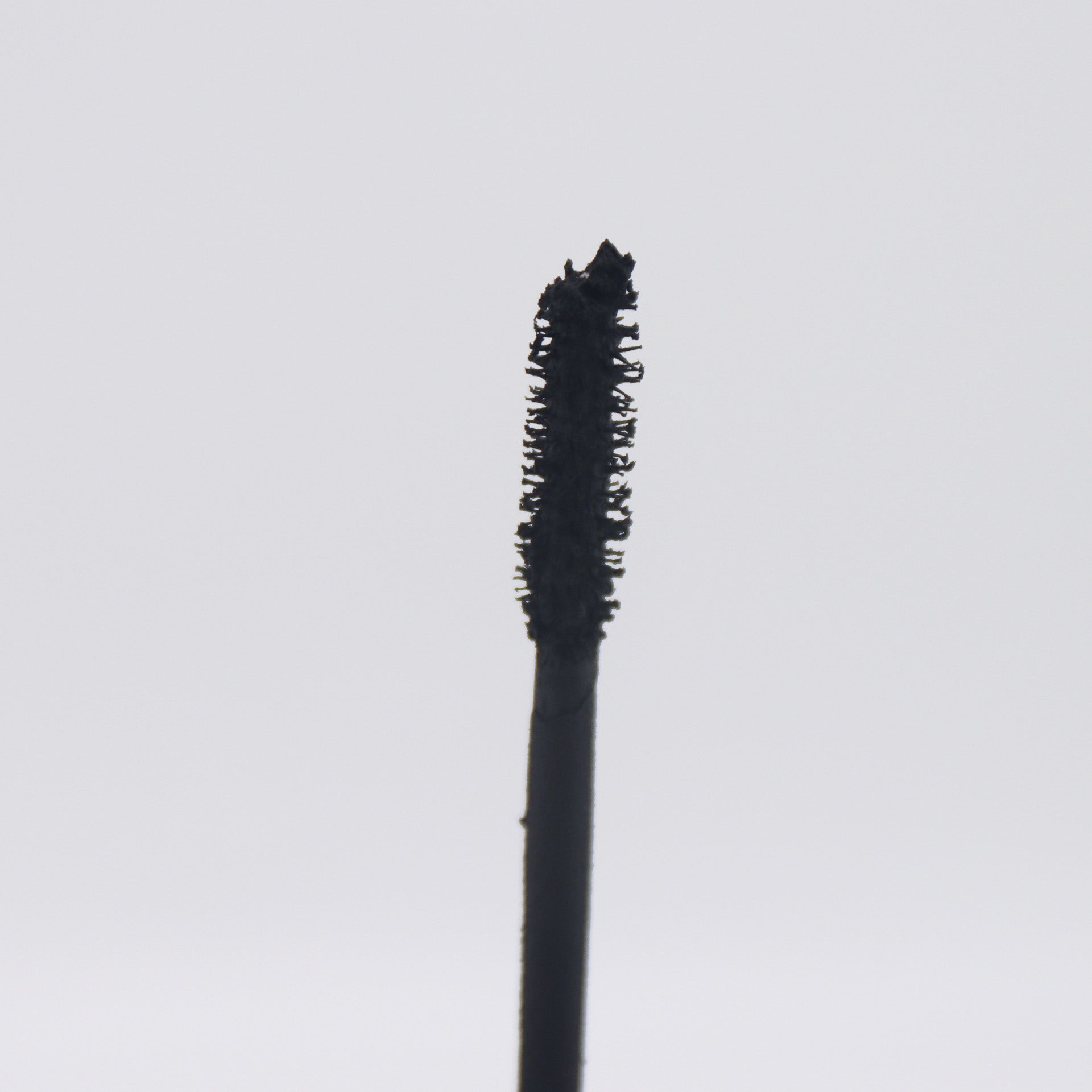 Mascara Carbone (Carbon Mascara) della linea Phito Cinecittà Make Up